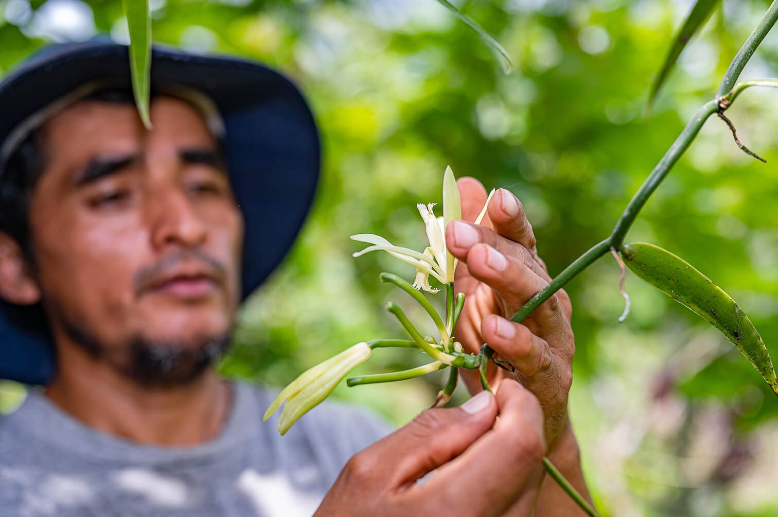 Carlos Julio Arosemena Tola Napo.Travel